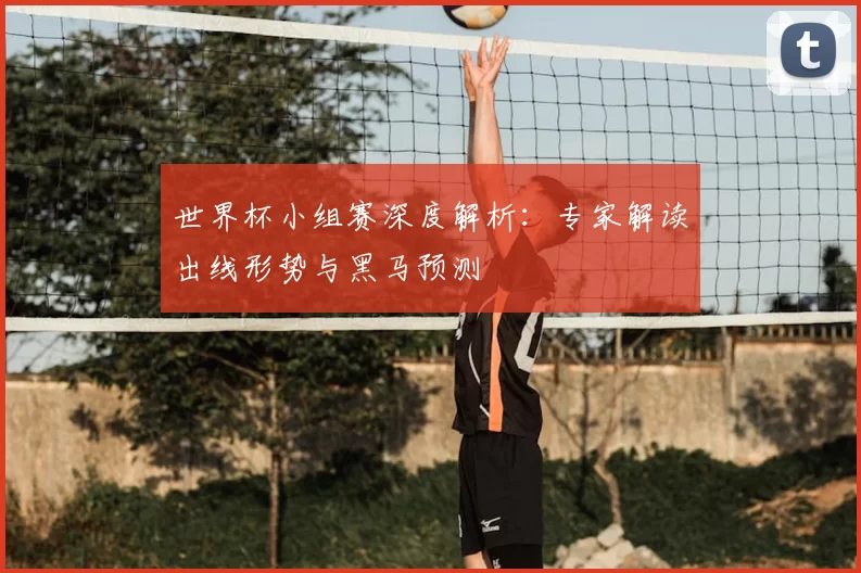 世界杯小组赛深度解析：专家解读出线形势与黑马预测