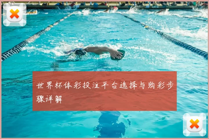 世界杯体彩投注平台选择与购彩步骤详解