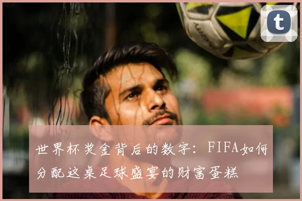 世界杯奖金背后的数字:FIFA如何分配这桌足球盛宴的财富蛋糕