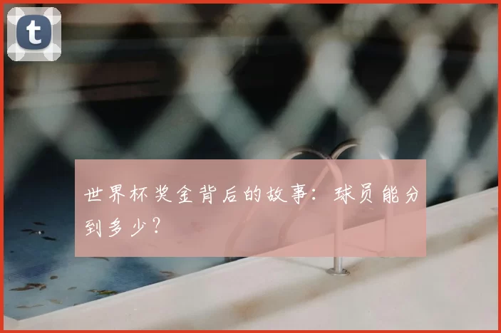 世界杯奖金背后的故事:球员能分到多少?