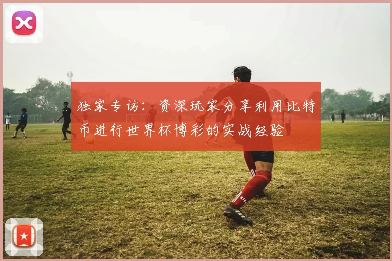 独家专访:资深玩家分享利用比特币进行世界杯博彩的实战经验