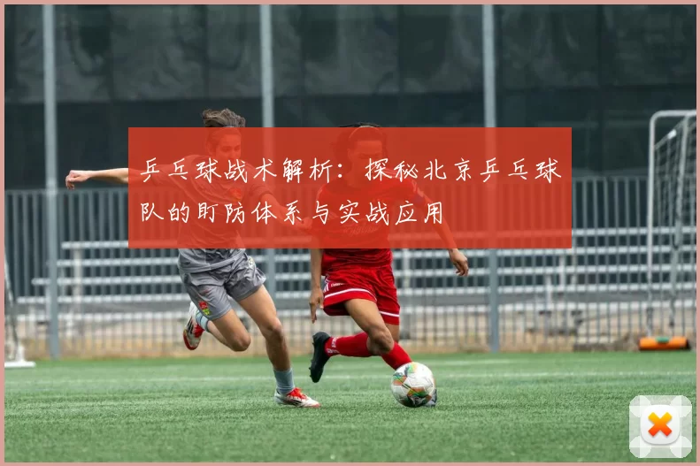 乒乓球战术解析:探秘北京乒乓球队的盯防体系与实战应用