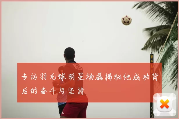 专访羽毛球明星杨磊揭秘他成功背后的奋斗与坚持