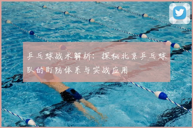 乒乓球战术解析：探秘北京乒乓球队的盯防体系与实战应用