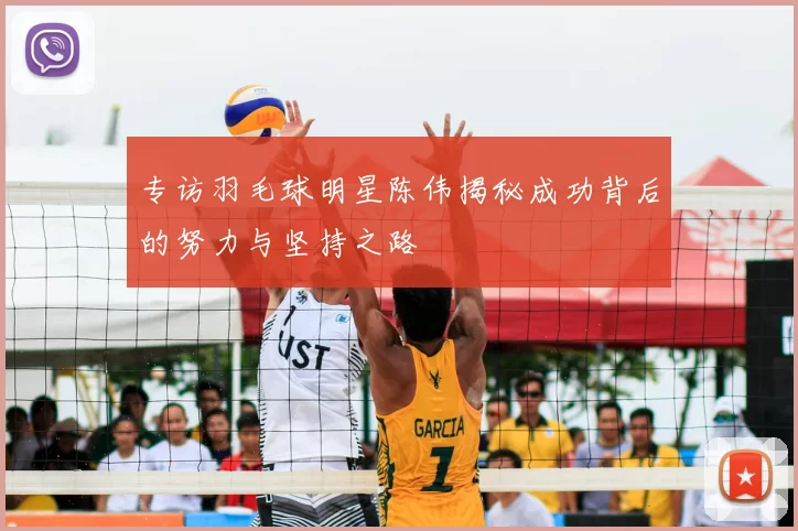 专访羽毛球明星陈伟揭秘成功背后的努力与坚持之路