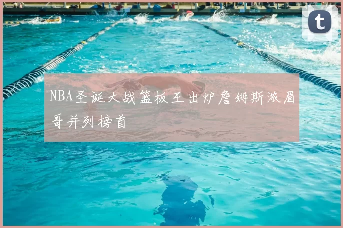 NBA圣诞大战篮板王出炉詹姆斯浓眉哥并列榜首