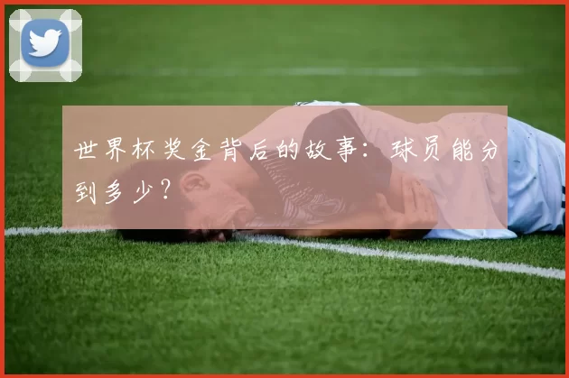 世界杯奖金背后的故事:球员能分到多少?
