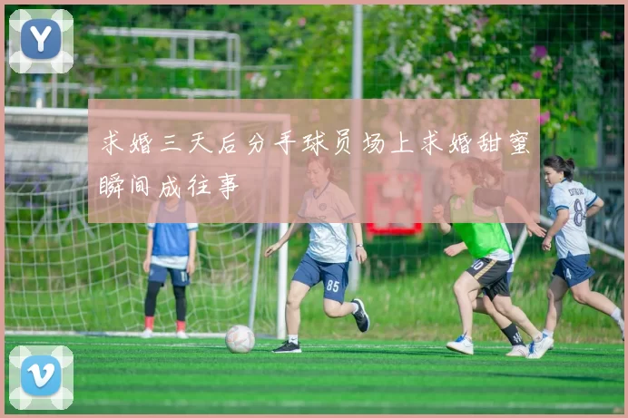 求婚三天后分手球员场上求婚甜蜜瞬间成往事