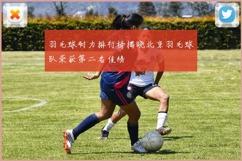 羽毛球耐力排行榜揭晓北京羽毛球队荣获第二名佳绩