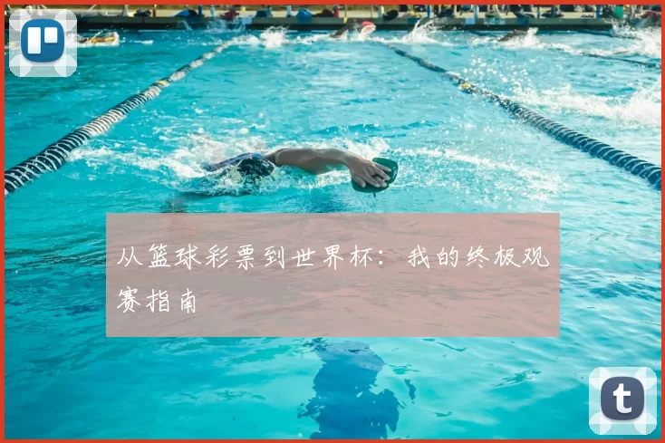 从篮球彩票到世界杯:我的终极观赛指南