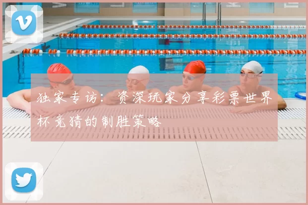 独家专访:资深玩家分享彩票世界杯竞猜的制胜策略