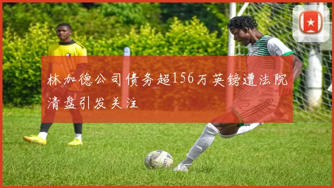 林加德公司债务超156万英镑遭法院清盘引发关注