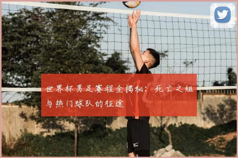 世界杯男足赛程全揭秘：死亡之组与热门球队的征途