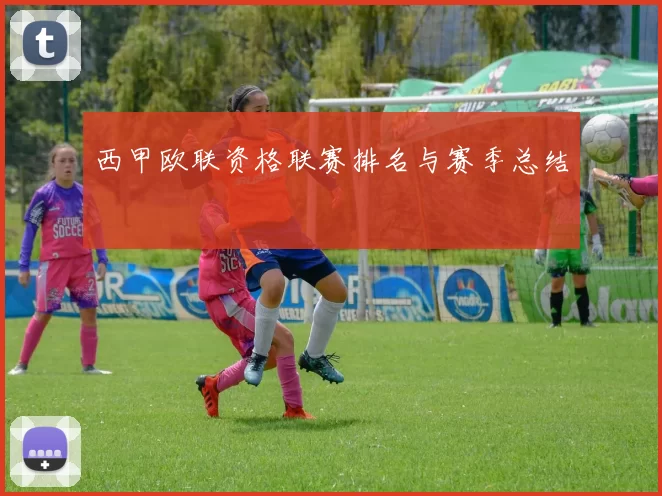 西甲欧联资格联赛排名与赛季总结