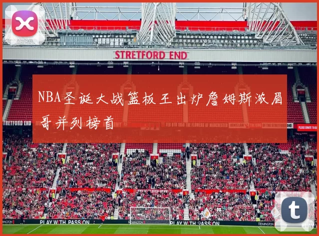 NBA圣诞大战篮板王出炉詹姆斯浓眉哥并列榜首